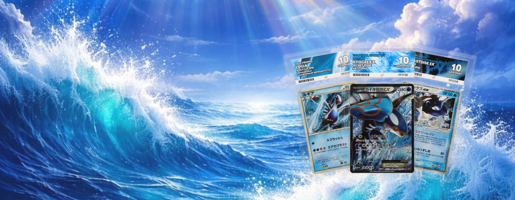 Level Up Your Card Collection